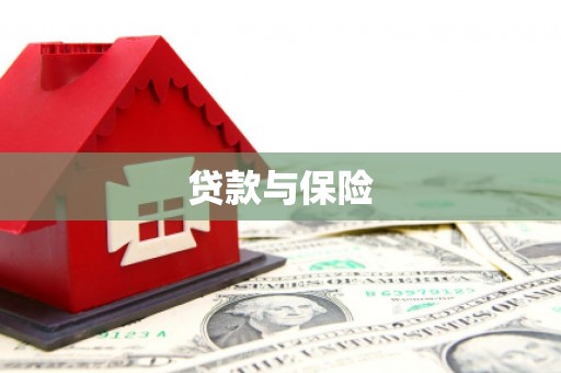 隆阳贷款与保险