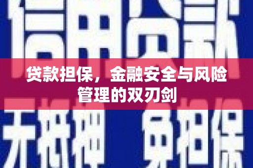 隆阳贷款担保，金融安全与风险管理的双刃剑