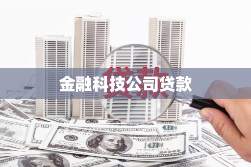 隆阳金融科技公司贷款