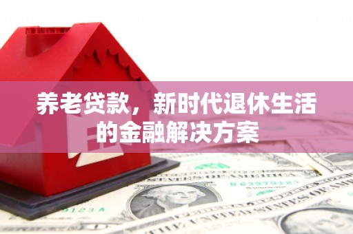 隆阳养老贷款，新时代退休生活的金融解决方案