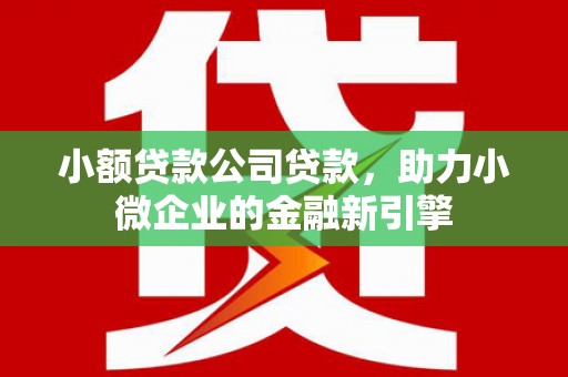 隆阳小额贷款公司贷款，助力小微企业的金融新引擎