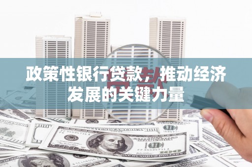 隆阳政策性银行贷款，推动经济发展的关键力量