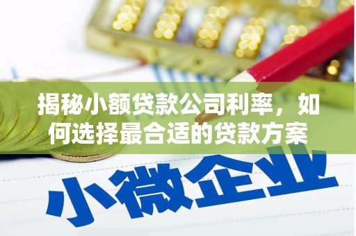 隆阳揭秘小额贷款公司利率，如何选择最合适的贷款方案