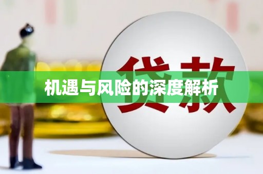 隆阳机遇与风险的深度解析