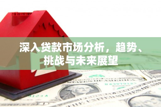 隆阳深入贷款市场分析，趋势、挑战与未来展望
