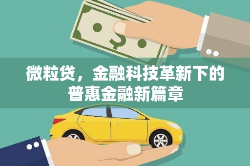 隆阳微粒贷，金融科技革新下的普惠金融新篇章