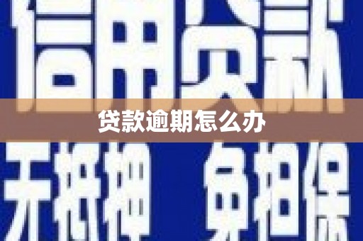 隆阳贷款逾期怎么办