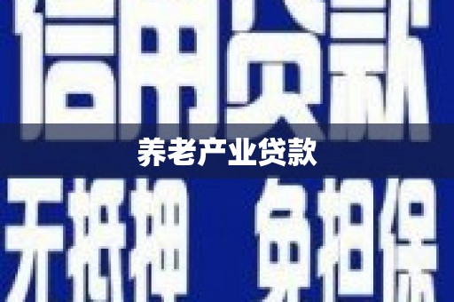 隆阳养老产业贷款