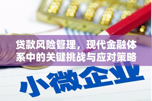 隆阳贷款风险管理，现代金融体系中的关键挑战与应对策略