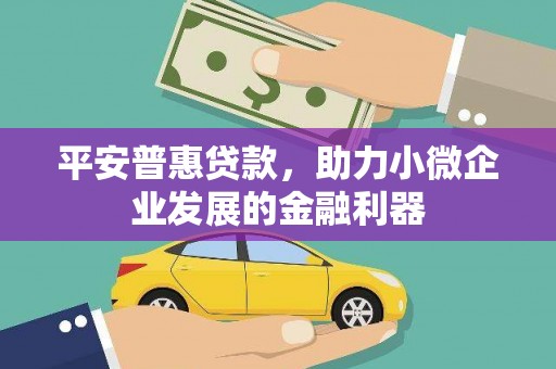 隆阳平安普惠贷款，助力小微企业发展的金融利器