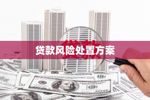 隆阳贷款风险处置方案