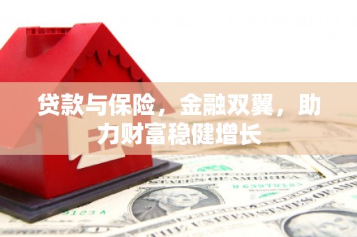 隆阳贷款与保险，金融双翼，助力财富稳健增长