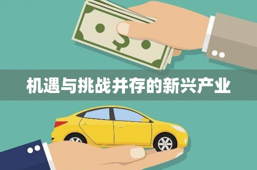 隆阳机遇与挑战并存的新兴产业