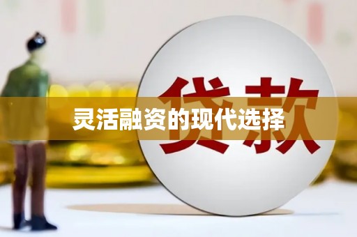 隆阳灵活融资的现代选择