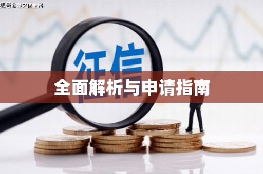 隆阳全面解析与申请指南