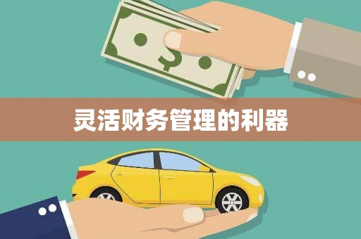 隆阳灵活财务管理的利器