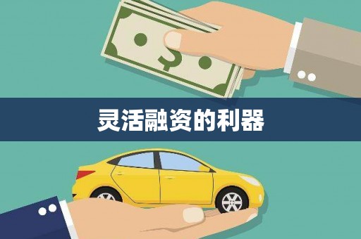 隆阳灵活融资的利器