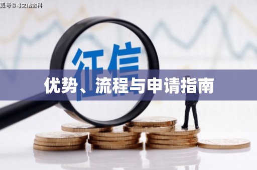 隆阳优势、流程与申请指南