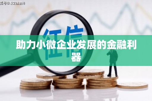 隆阳助力小微企业发展的金融利器