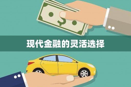 隆阳现代金融的灵活选择