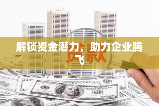 隆阳解锁资金潜力，助力企业腾飞