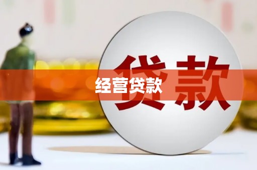 隆阳经营贷款