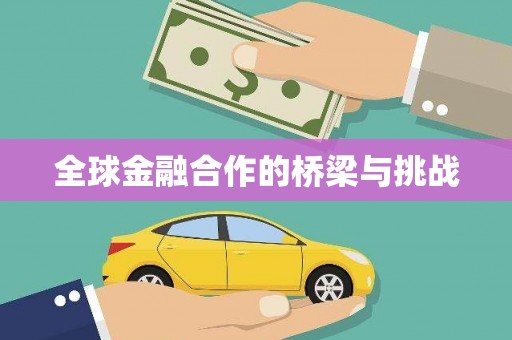 隆阳全球金融合作的桥梁与挑战