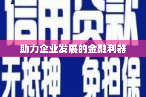 隆阳助力企业发展的金融利器