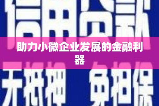隆阳助力小微企业发展的金融利器