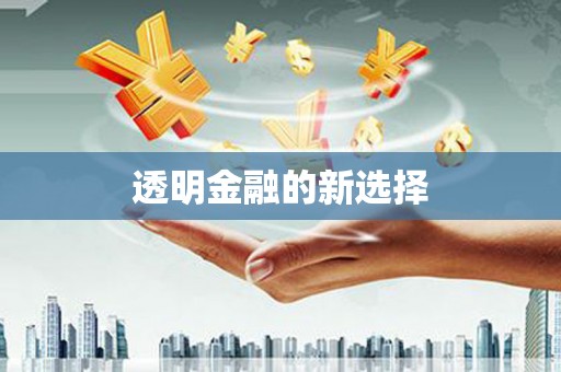 隆阳透明金融的新选择